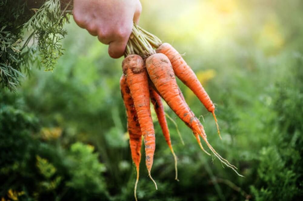 Vegetables